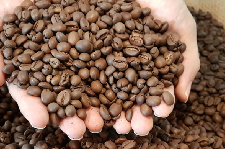 Dia Mundial do Café inspira conexão com origens e sabores únicos no Connection Terroirs do Brasil