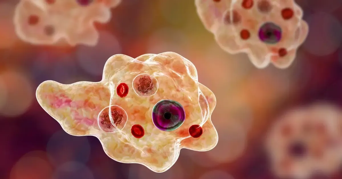 Ceará registra caso raro de ameba comedora de cérebro; criança de 1 ano morre em Caucaia