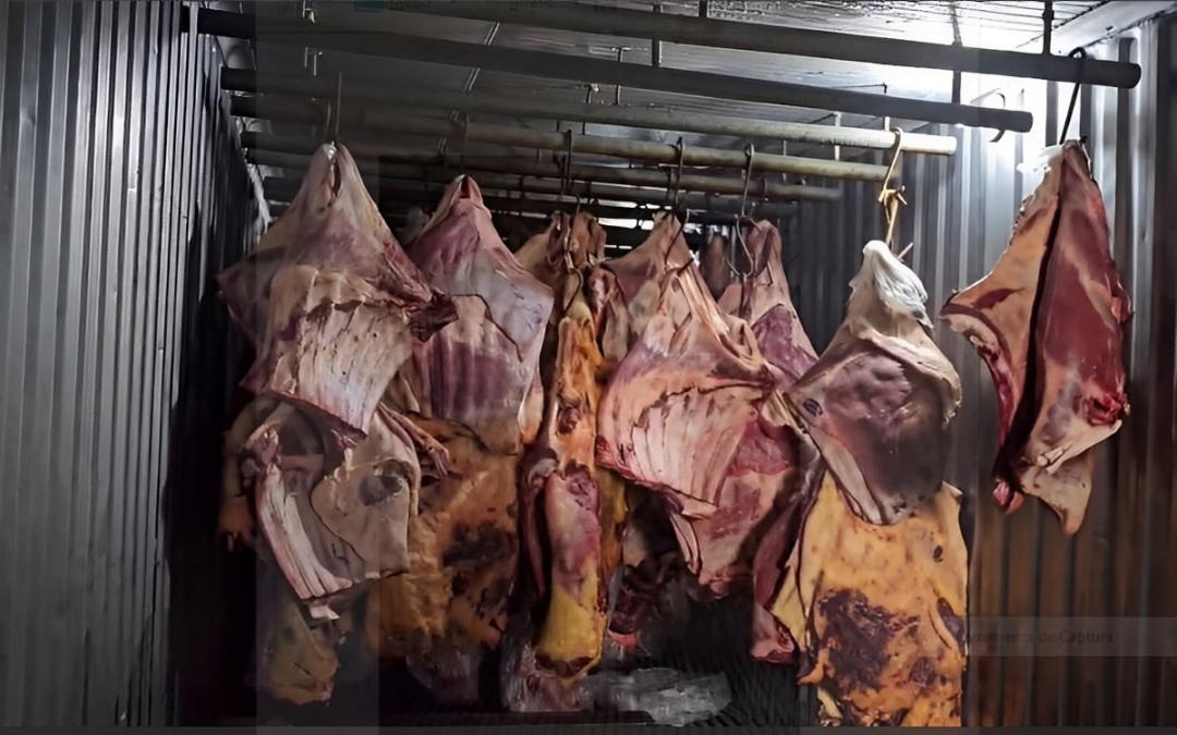 Polícia Civil Desmantela Esquema de Venda de Carne Estragada em Porto Alegre