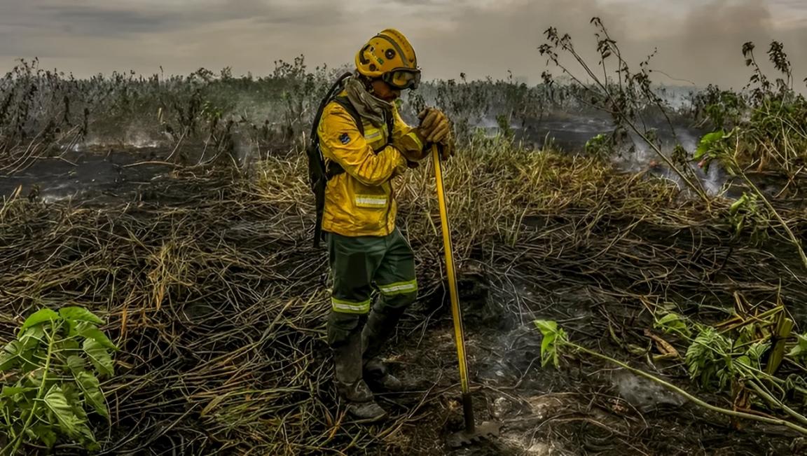 O custo humano e econômico das mudanças climáticas: Um alerta para a COP30