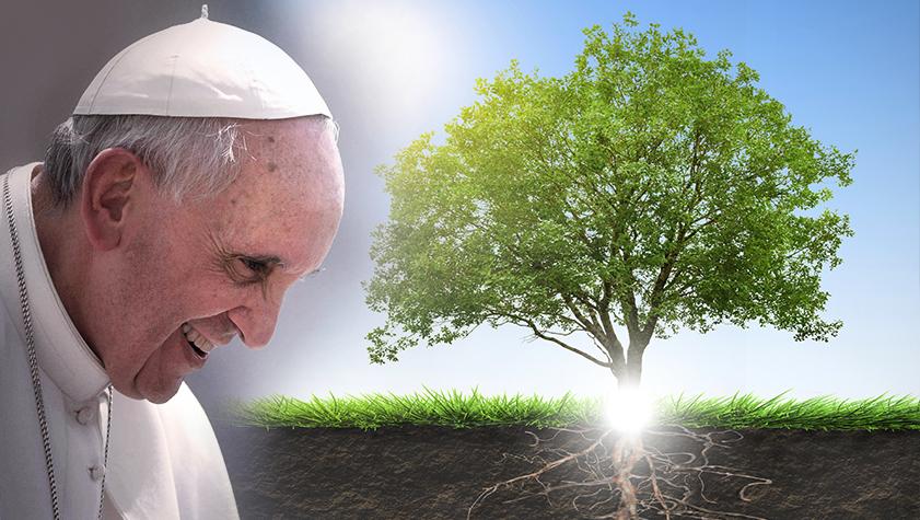O Legado do Papa pela Sustentabilidade: Uma Reflexão Necessária