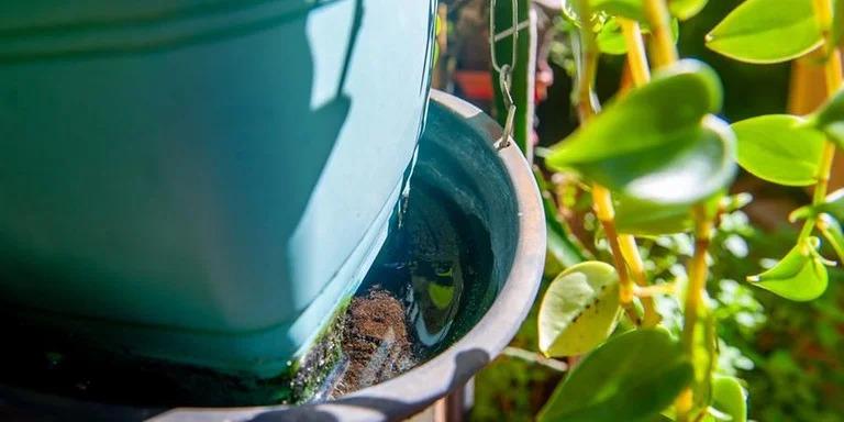 Porto Alegre decreta situação de emergência após mais de 4 mil casos de dengue