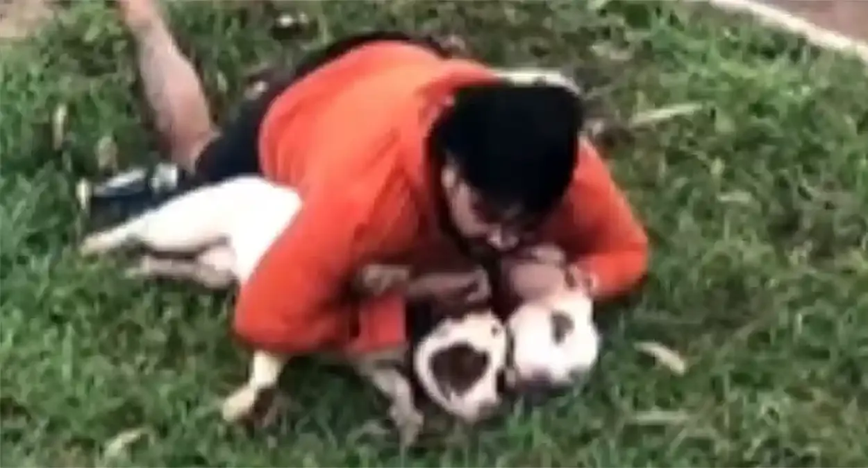 Professor de Muay Thai imobiliza dois pitbulls e evita tragédia durante corrida matinal