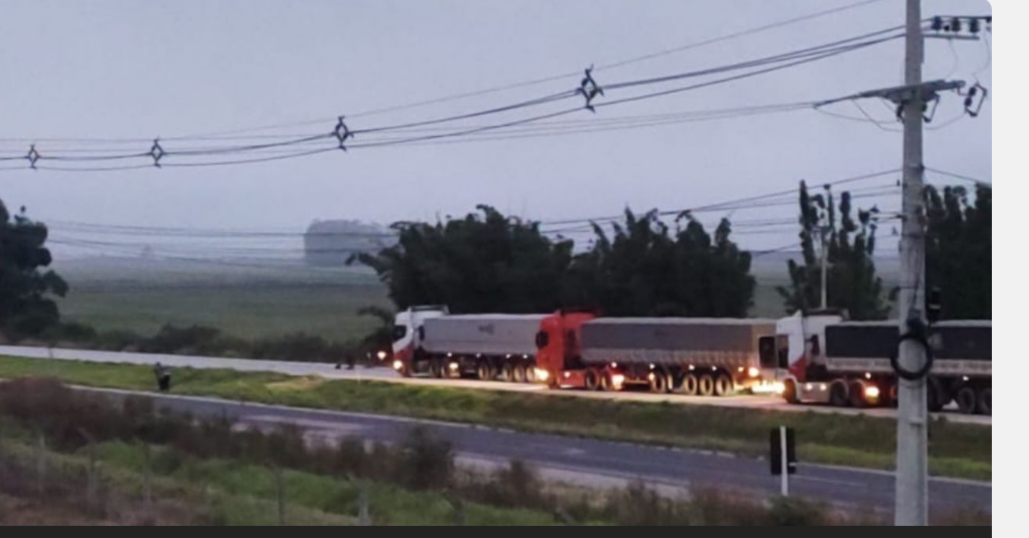 Jovem de 24 anos morre atropelado ao tentar atravessar a BR-116 em Camaquã