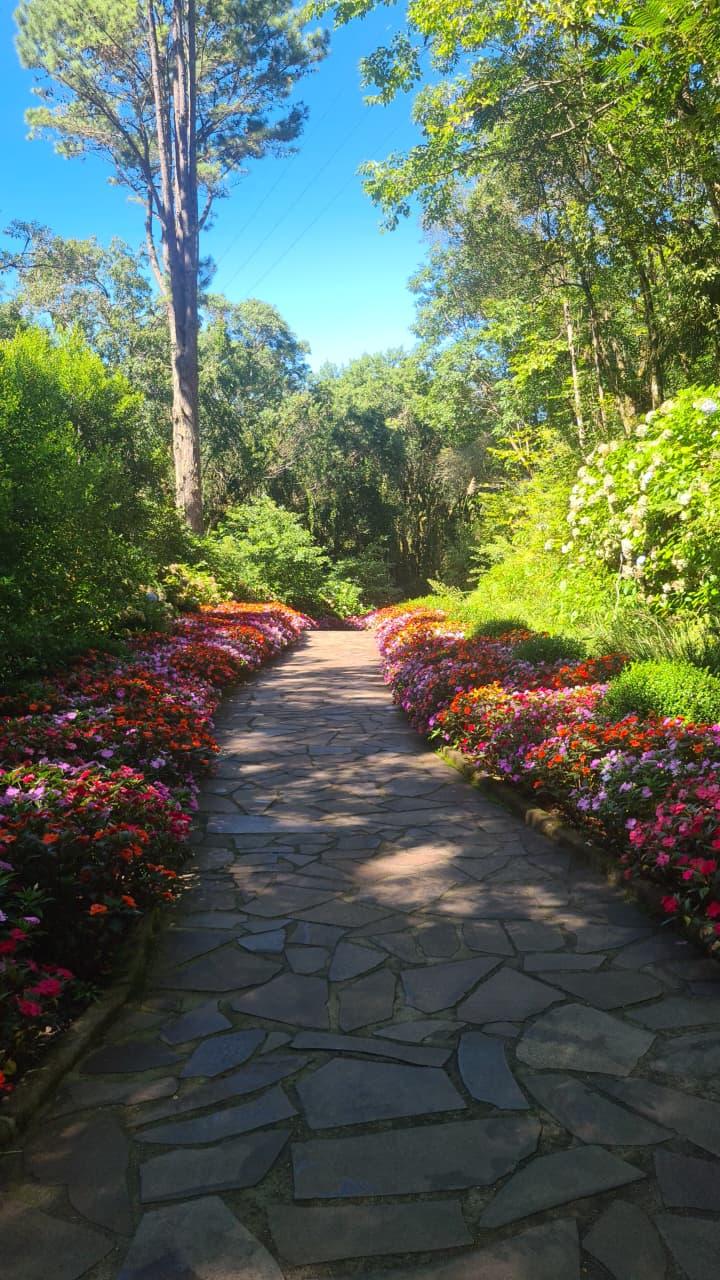 Natureza, Experiência e Conexão no Verão da Serra Gaúcha