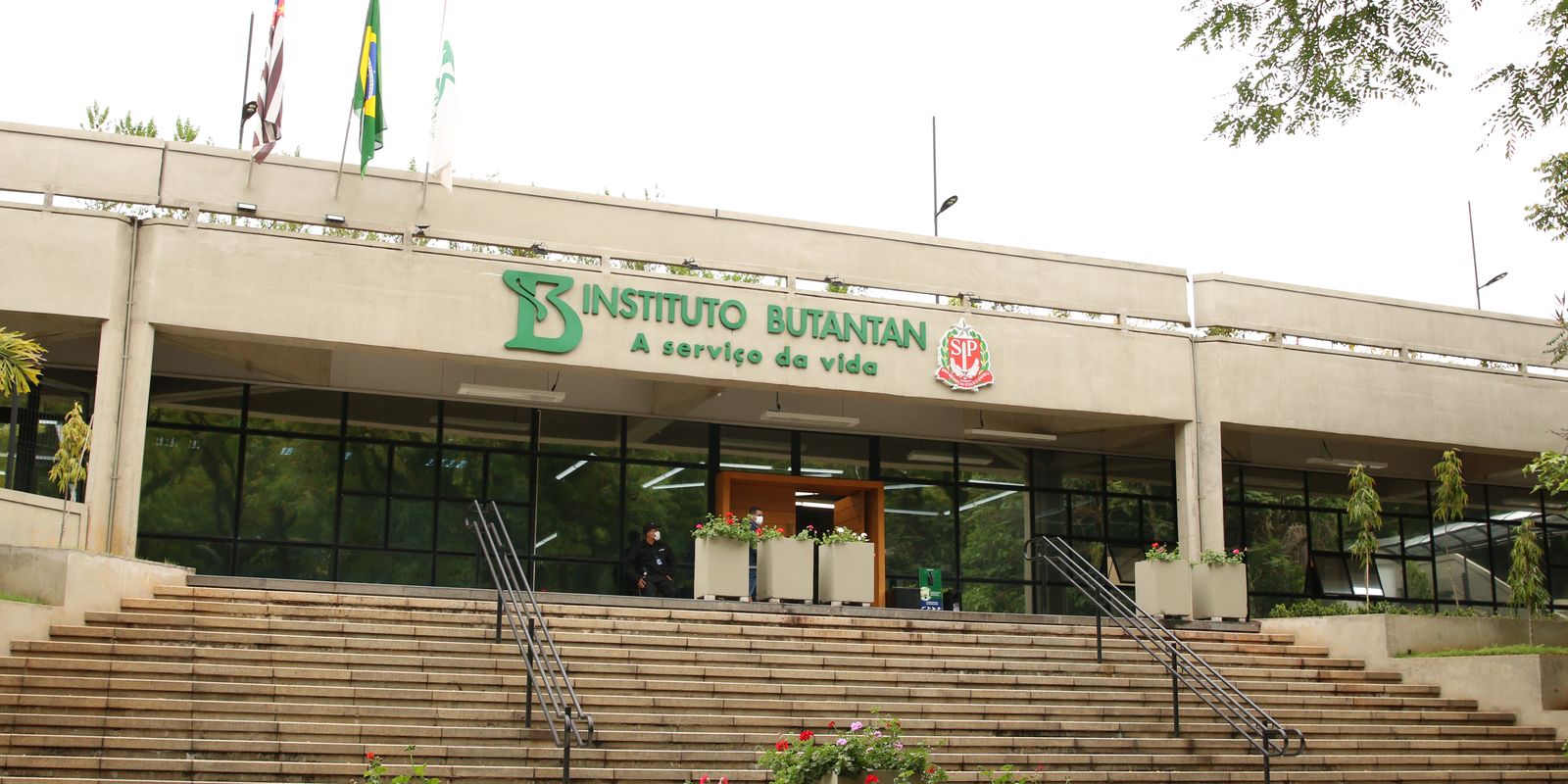 Butantan produzirá remédio contra câncer para o SUS