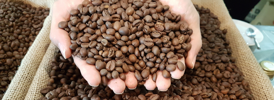 Dia Mundial do Café inspira conexão com origens e sabores únicos no Connection Terroirs do Brasil