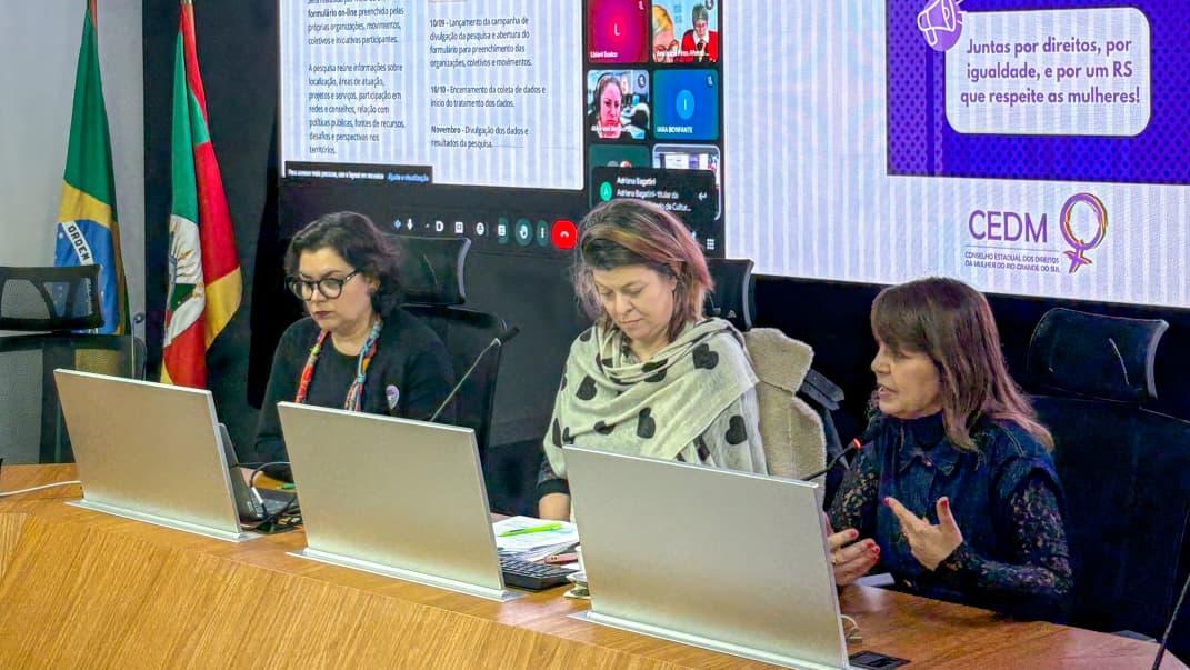 Femininos em Ação: mapeamento dá visibilidade a quem transforma a vida das mulheres no Rio Grande do Sul