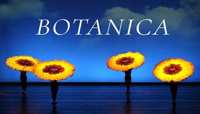 MOMIX transforma o palco em um universo fantástico com dança, acrobacia e ilusionismo