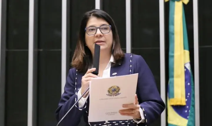Comissão debate assistência consular e proteção de brasileiros no exterior