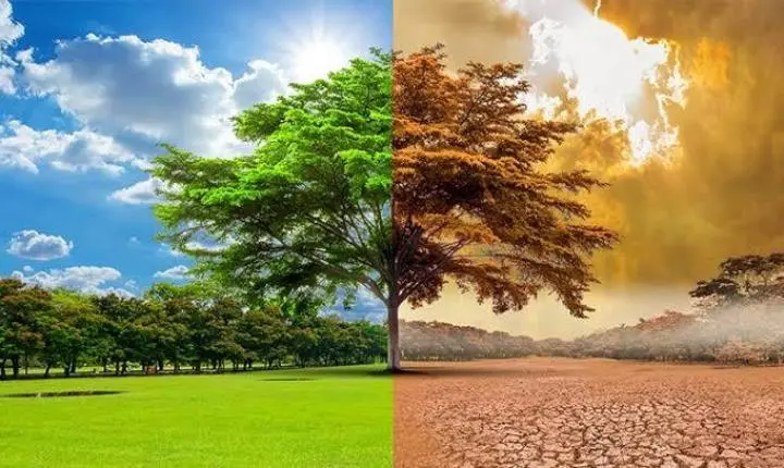 Fórum reúne especialistas em Porto Alegre para debater saúde, emergência climática e transição energética
