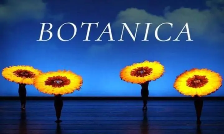 MOMIX transforma o palco em um universo fantástico com dança, acrobacia e ilusionismo