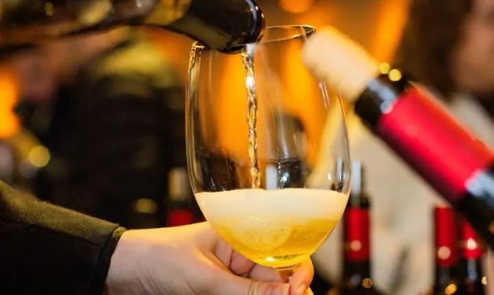Wine Tasting Porto a Porto 2026 reúne mais de 400 convidados em uma viagem pelos grandes sabores do mundo